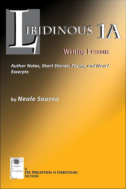 book cover Libidinous 1A: Writing Lessons